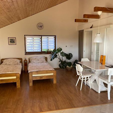 Zelezny Brod Apartman V Podhuri Jizerskych Hor מראה חיצוני תמונה