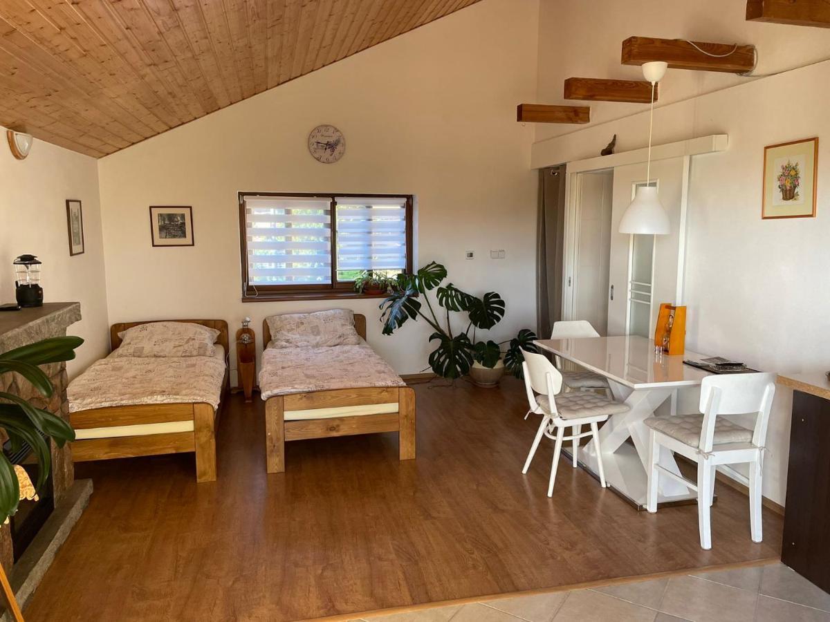 Zelezny Brod Apartman V Podhuri Jizerskych Hor מראה חיצוני תמונה