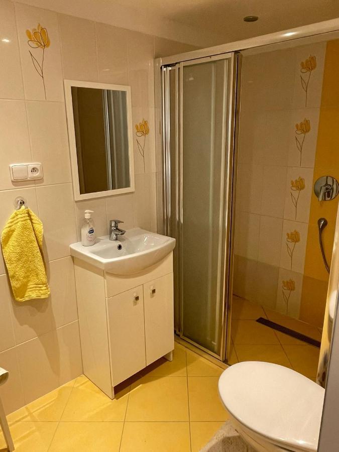 Zelezny Brod Apartman V Podhuri Jizerskych Hor מראה חיצוני תמונה